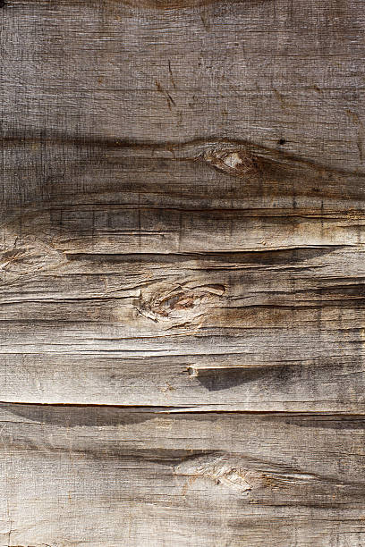 istock cracked plywood 522419707
