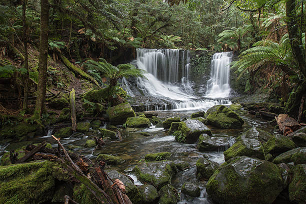 Horseshoe falls horseshoe fall,tasmania, australia hiking in tasmania stock pictures, royalty-free photos & images
