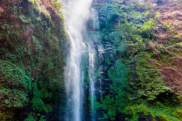 Coban Rondo Waterfall stock photo