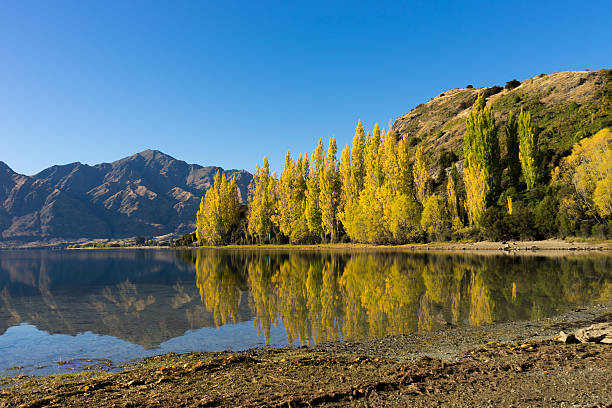 istock Picturesque landscape 522434525