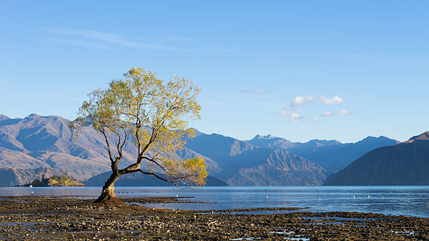 istock Picturesque landscape 522435611