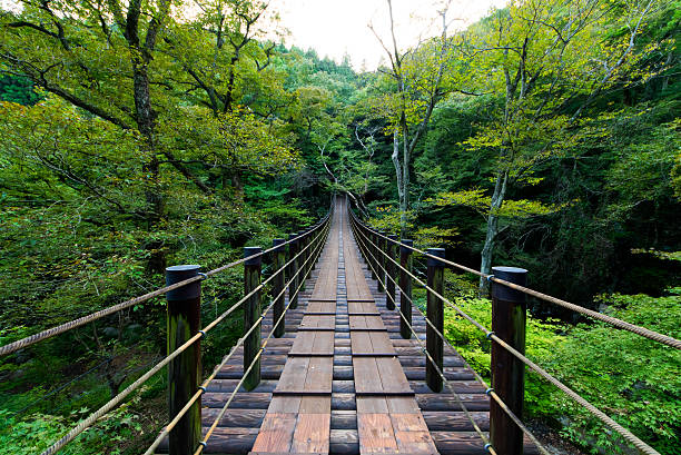 istock Shiomi Falls Suspension Bridge 522435763