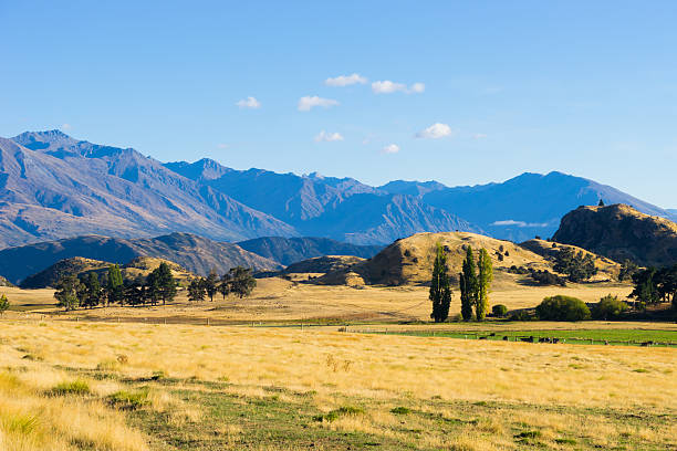 istock Picturesque landscape 522435903