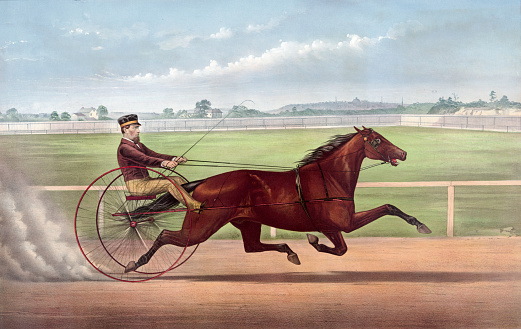 This 1873 vintage illustration shows a horse trotting in harness.