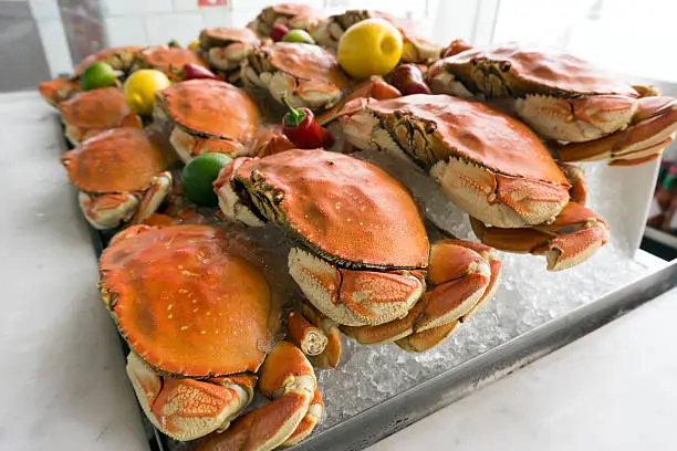 Fresh dungeness crab on ice at the seafood restaurant