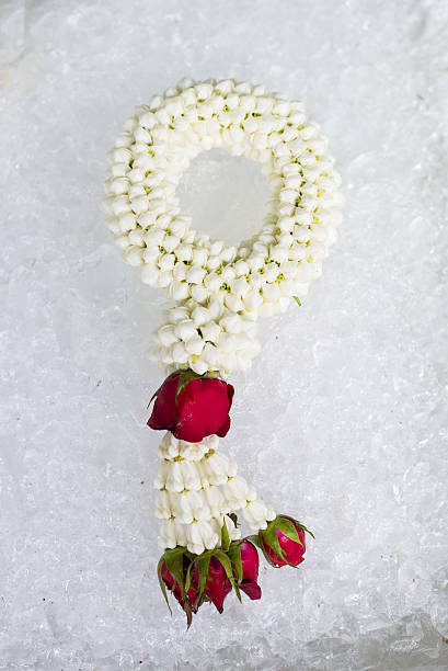 istock Beautiful Thai jasmine garland and red rose 522439143
