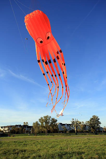 istock kiteflying in Dusseldorf 522439853
