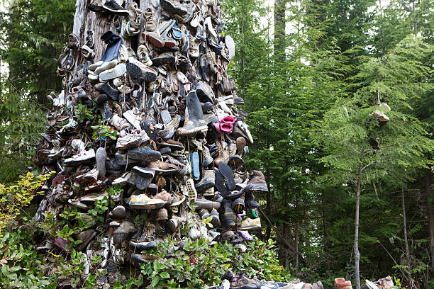 Discarded shoes and boots strung up in the trees alongside a remote logging road on Vancouver Island.