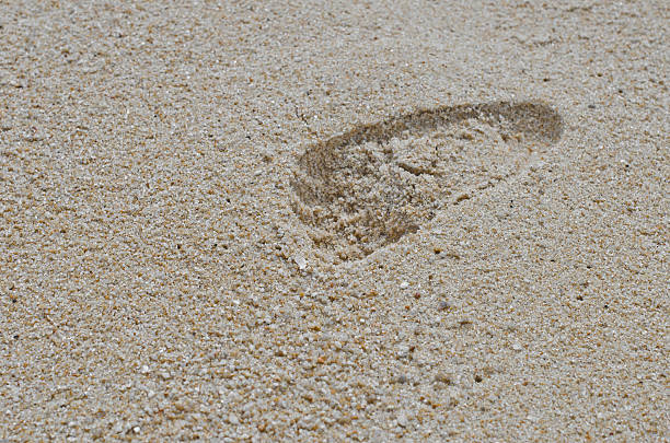 istock Baby footprint in sand 522448661