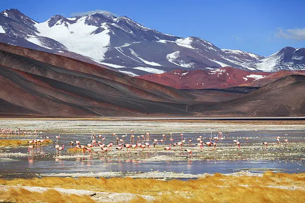 Photo of Black lagoon, volcano Pissis, Catamarca, Argentina