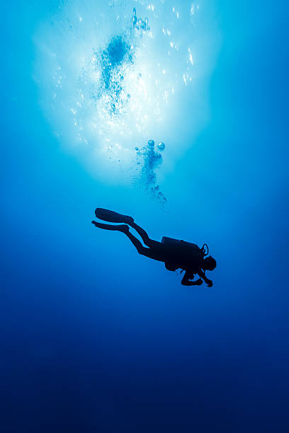 istock Silhouetted Diver in the Wild Blue Yonder in Clear Sea 522449563