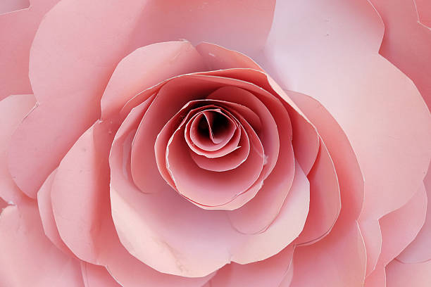 istock Paper flower in room 522450395