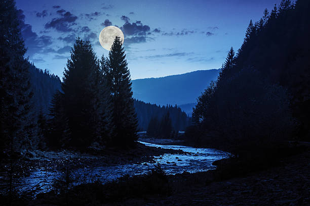 istock forest river with stones and moss at night 522452899