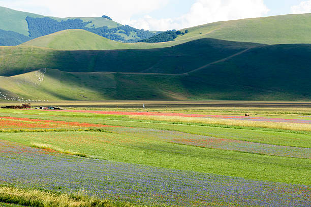 istock Piano Grande di Castelluccio (Italy) 522453463