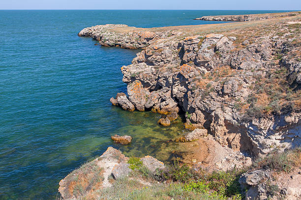 istock wilderness shore of sea 522455120