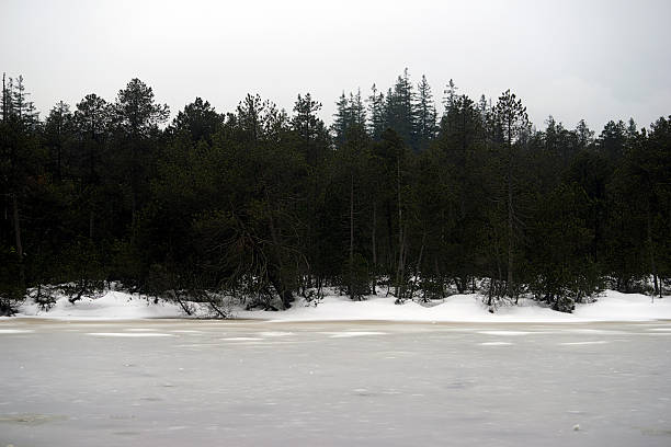 istock Dark snow forest with frozen lake 522456446