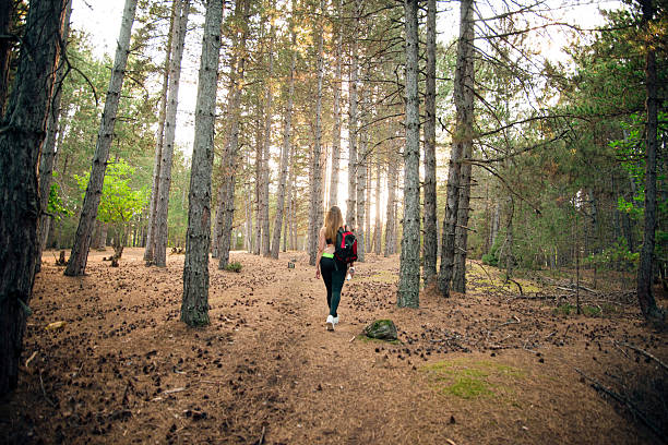 istock Young sexy girl with backpack in forest 522456712