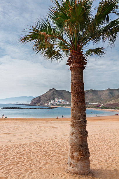 istock beach Las Teresitas, Tenerife, Spain 522457014