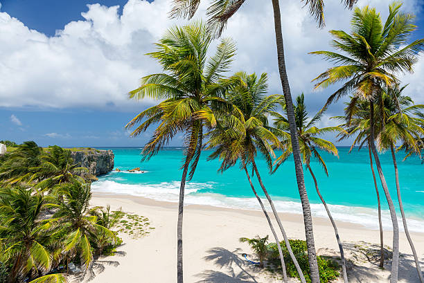istock tropical beach on the caribbean island (Bottom Bay, Barbados) 522457492