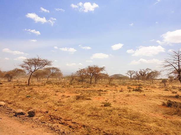 istock Dusty road to Kilimanjaro 522459526