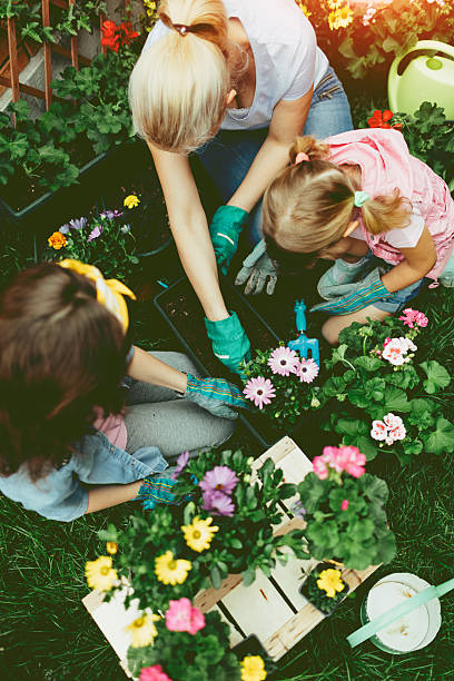 мать и дочерей посадка цветов вместе. - mother family vertical flower стоковые фото и изображения