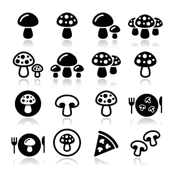 грибной векторные иконки набор - mushroom stem cap plate stock illustrations