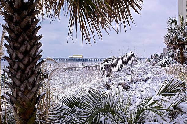 Snow Covered Beach stock photo
