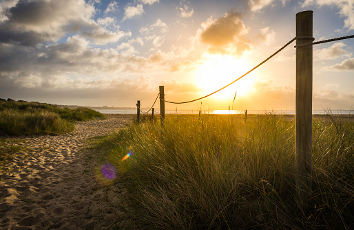 Golden sunrise illuminating sand dunes trail to summer ocean beach