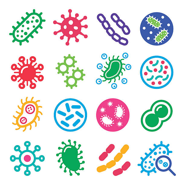 ilustraciones, imágenes clip art, dibujos animados e iconos de stock de bacterias, superbacteria, virus de la conjunto de iconos de concepto de la enfermedad - mrsa infectious disease bacterium science