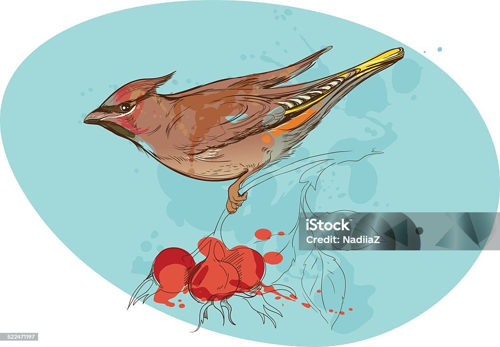 image of bird on a branch with sorbus berries and image of bird on a branch with sorbus berries and smudges of paint Branch - Plant Part stock vector