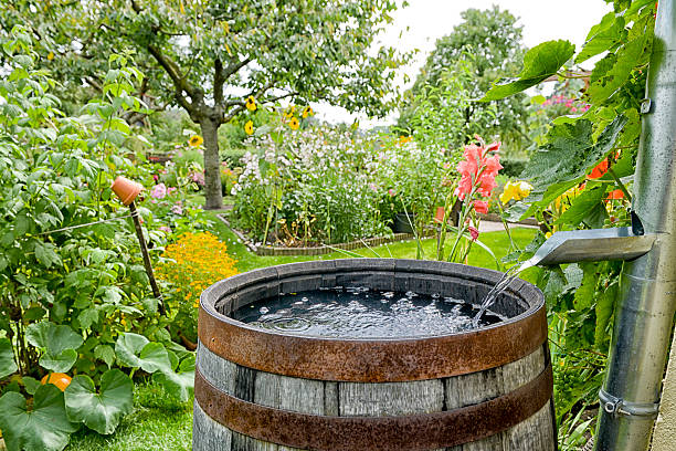 Rain barrel in the garden stock photo