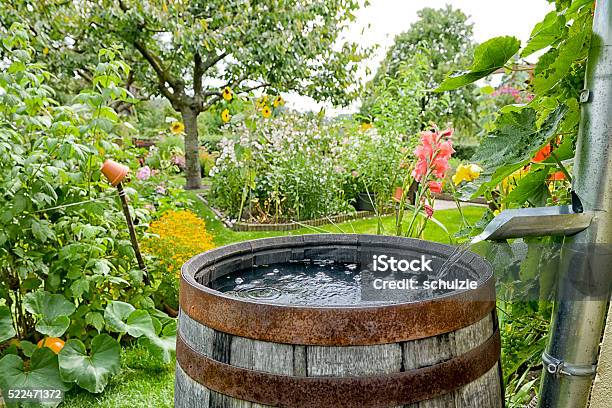 Rain Barrel In The Garden Stock Photo - Download Image Now - Rain, Yard - Grounds, Water