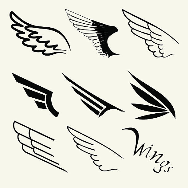 Wings set on white background, vector Wings set on white background, vector aircraft wing stock illustrations