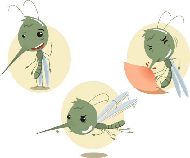 mosquito mosquitoes zestaw - haustellum stock illustrations