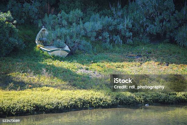 Row Boat Stock Photo - Download Image Now - Agricultural Field, Bush, Grass