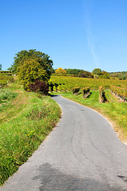 istock Road on Johannisberg in Rheingau 522473092