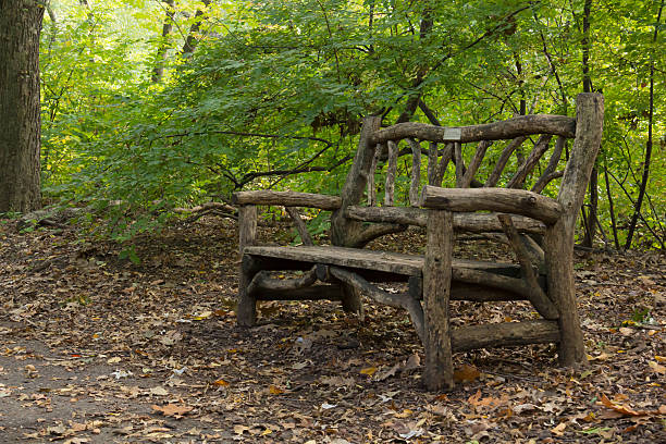 bench at central park stock photo