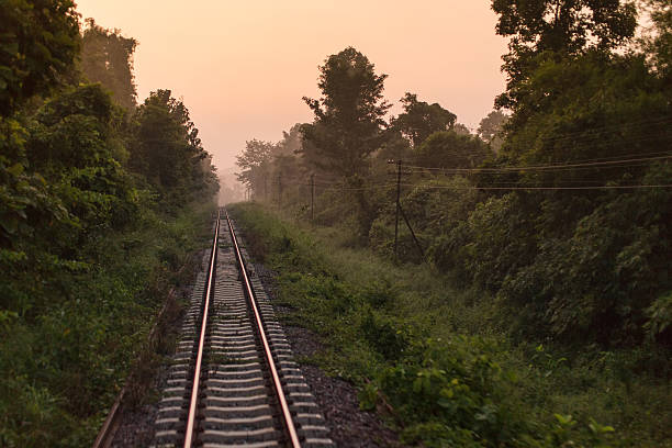 ferrovia in una scena rurale - railroad track train journey rural scene foto e immagini stock