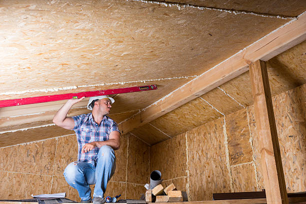 construtor com nível no teto em assuntos de casa - construction frame wood accuracy adult - fotografias e filmes do acervo