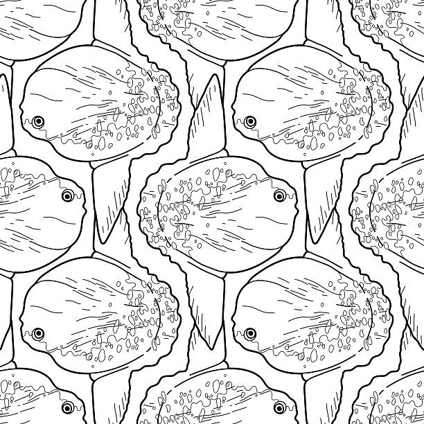 Graphic vector sunfish Graphic vector sunfish isolated on white background. Sea and ocean creature in black and white colors. Coloring book page design opah stock illustrations