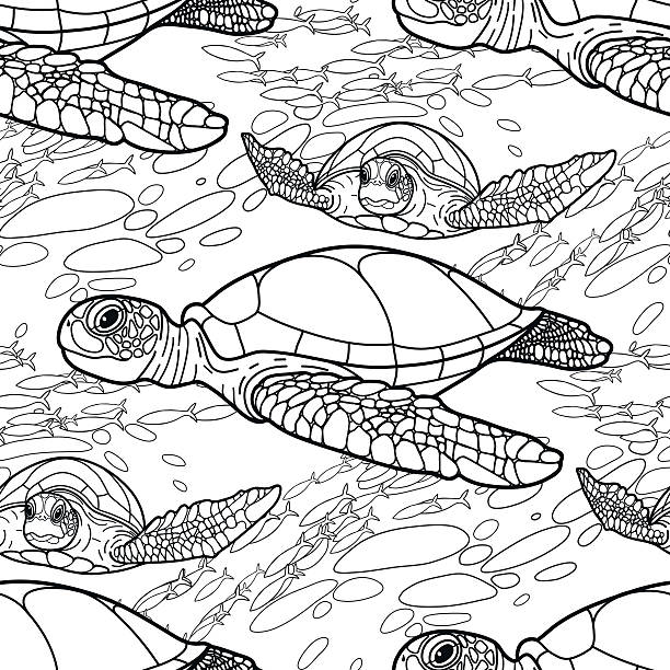 Sea Turtle Tattoo Designs Illustrations, Royalty-Free Vector Graphics &  Clip Art - iStock