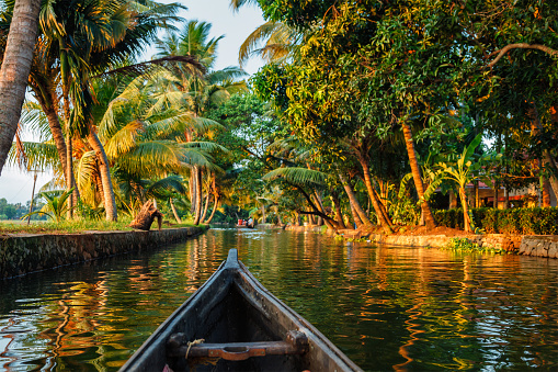 Kerala backwaters tourism travel in canoe. Kerala, India