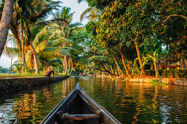 remansos de kerala canoagem - kerala imagens e fotografias de stock