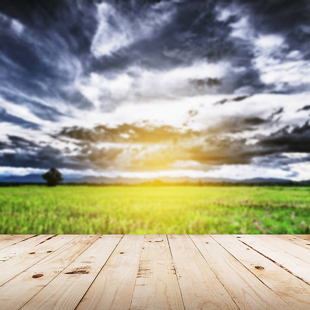 istock abstract blurred field and sunlight with wood table 522478568