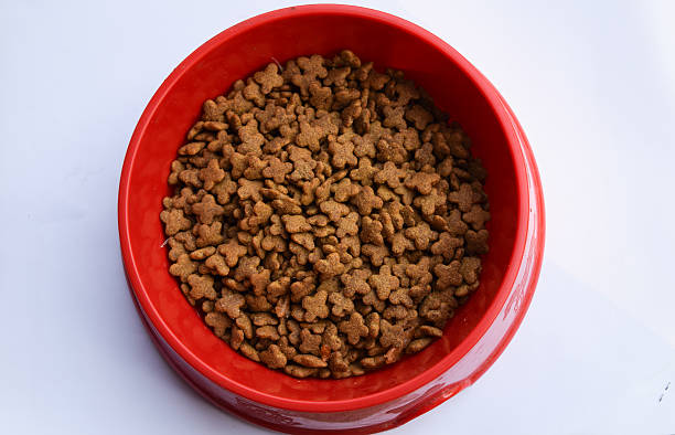 istock Cat food in bowl isolated 522479370