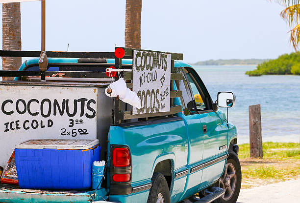 Buy Icecold Coconuts Big Pine Key, USA - May 10, 2015: A pick-up truck with signs displaying that ice cold coconuts are sold out of it. florida food stock pictures, royalty-free photos & images
