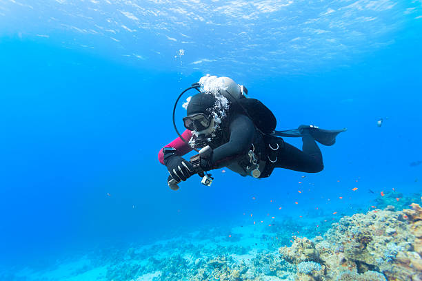 istock Scuba diver floating over coral reef in the Red Sea. 522480532