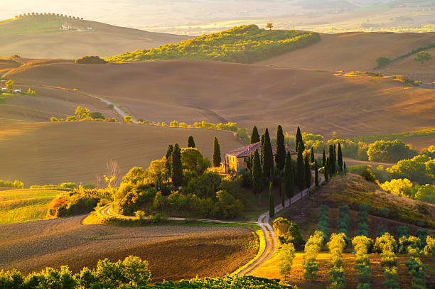 istock Tuscan landscape.Beautiful Tuscan  morning 522482260