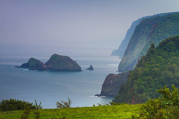 Pololu Valley lookout Scenic view of beautiful Hawaiian coastline pololu stock pictures, royalty-free photos & images