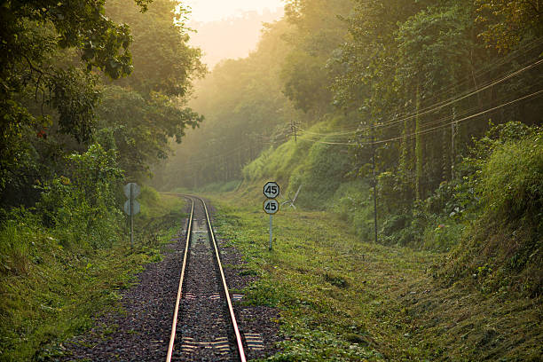 ferrovia in una scena rurale - railroad track train journey rural scene foto e immagini stock